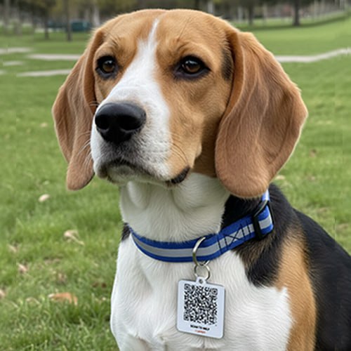 Pet Smart QR Tag